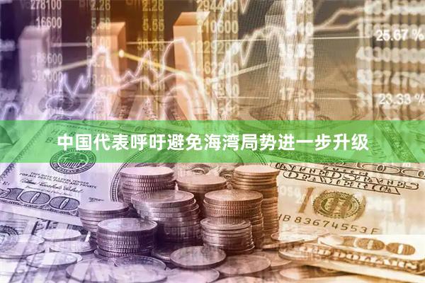 中国代表呼吁避免海湾局势进一步升级